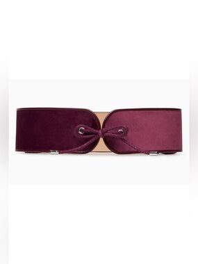 NWT Aritzia Babaton Talen Belt